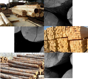 百年品質傳承,源于每一環節的考究 百年品質傳承,源于每一環節的考究